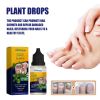 South Moon Plant Drops, Repair Extremities Soft Thickening Light Armour Moist Clean Fingernails Detailer